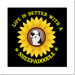 Sheepadoodle Lovers Posters and Art